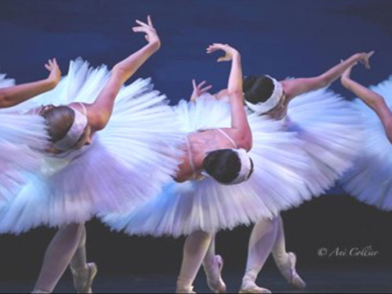 Dance Alive Ballet – Loveland